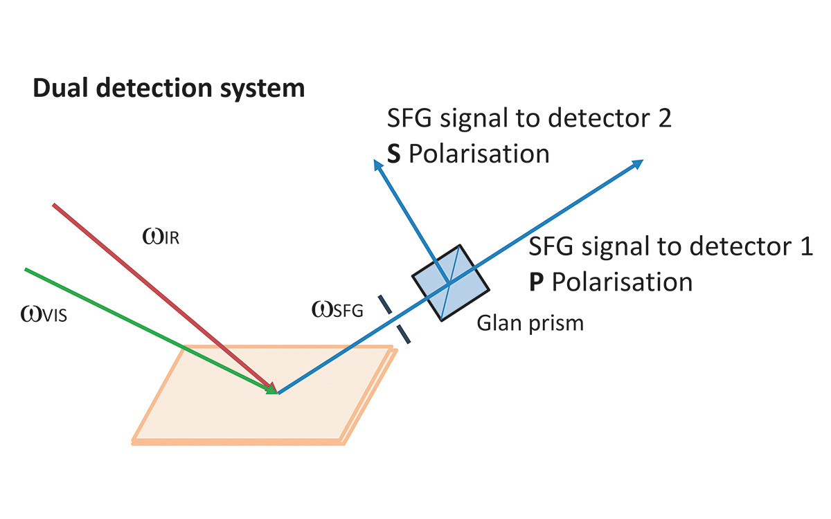 Dual detection system